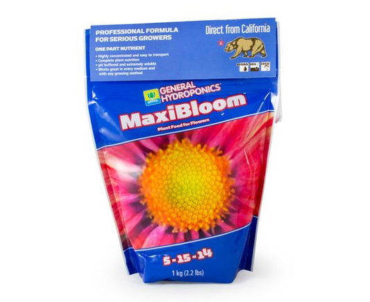 Maxi Bloom 1Kg Ghe